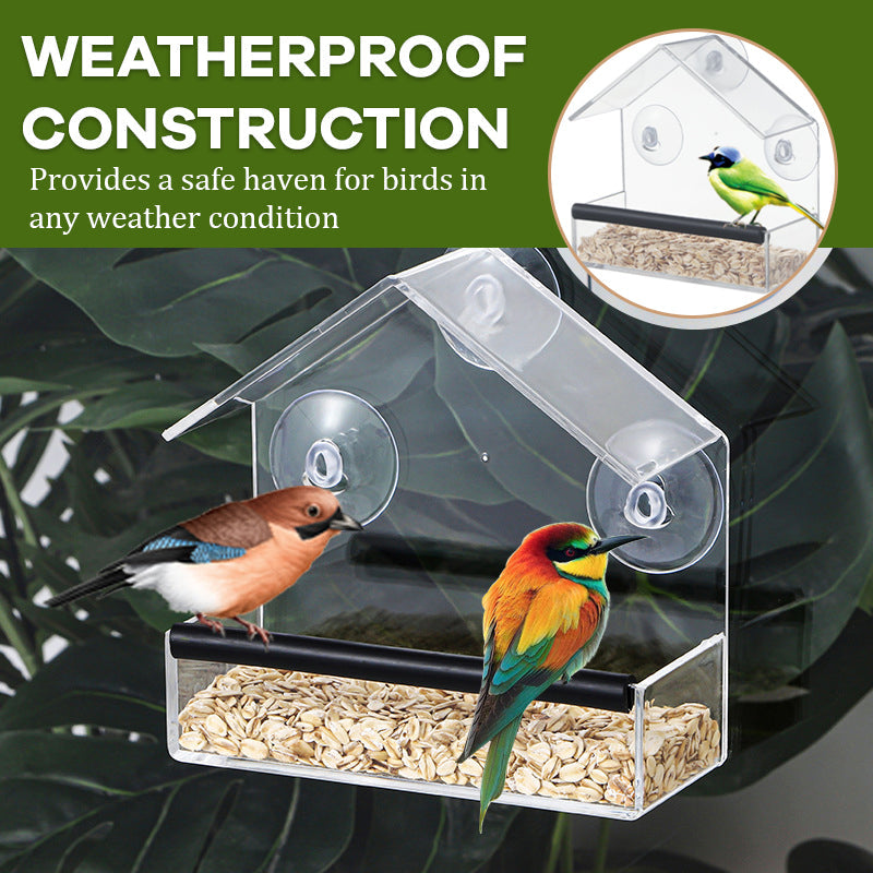 Transparent Window Bird Feeder