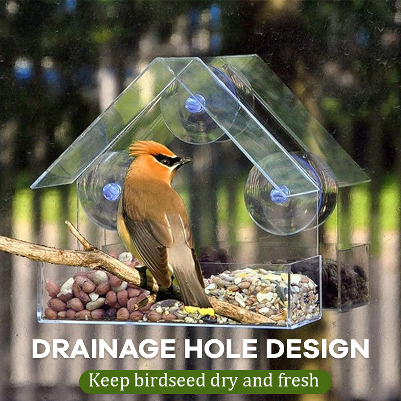 Transparent Window Bird Feeder